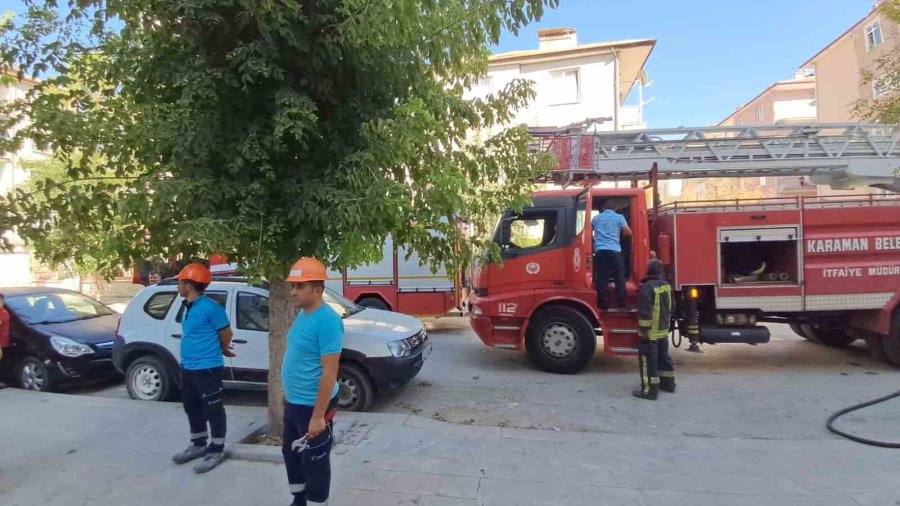 Evinde Yangın Çıkan Kadın, Can Yoldaşını Ölüme Terk Etmedi