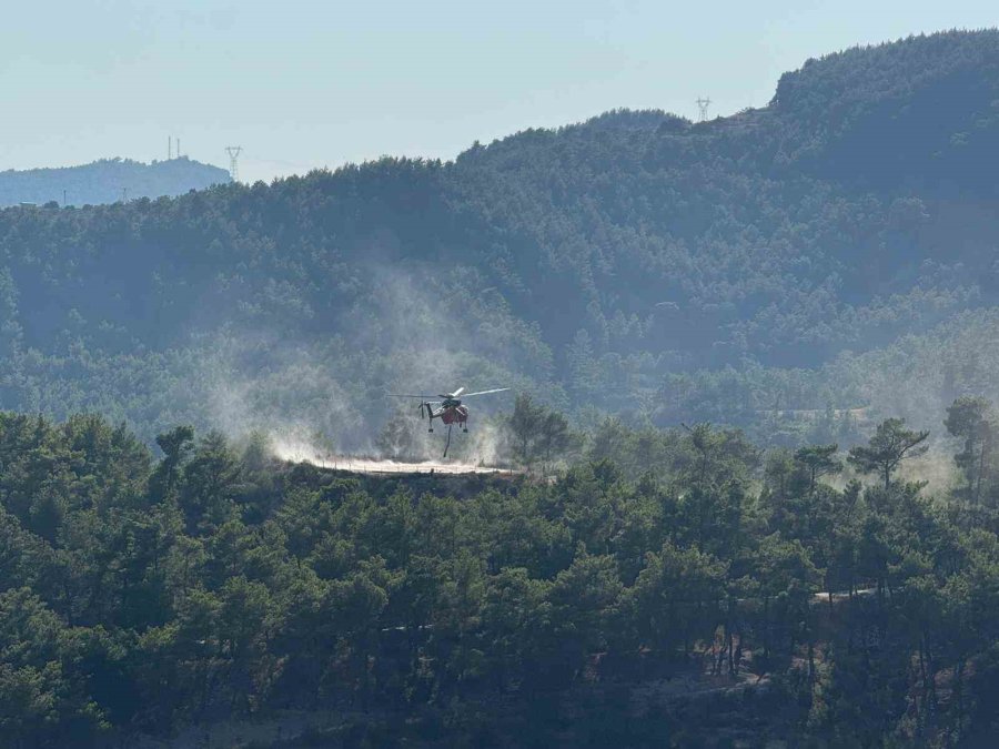 Manavgat’ta Ormanlık Alanda Yangın
