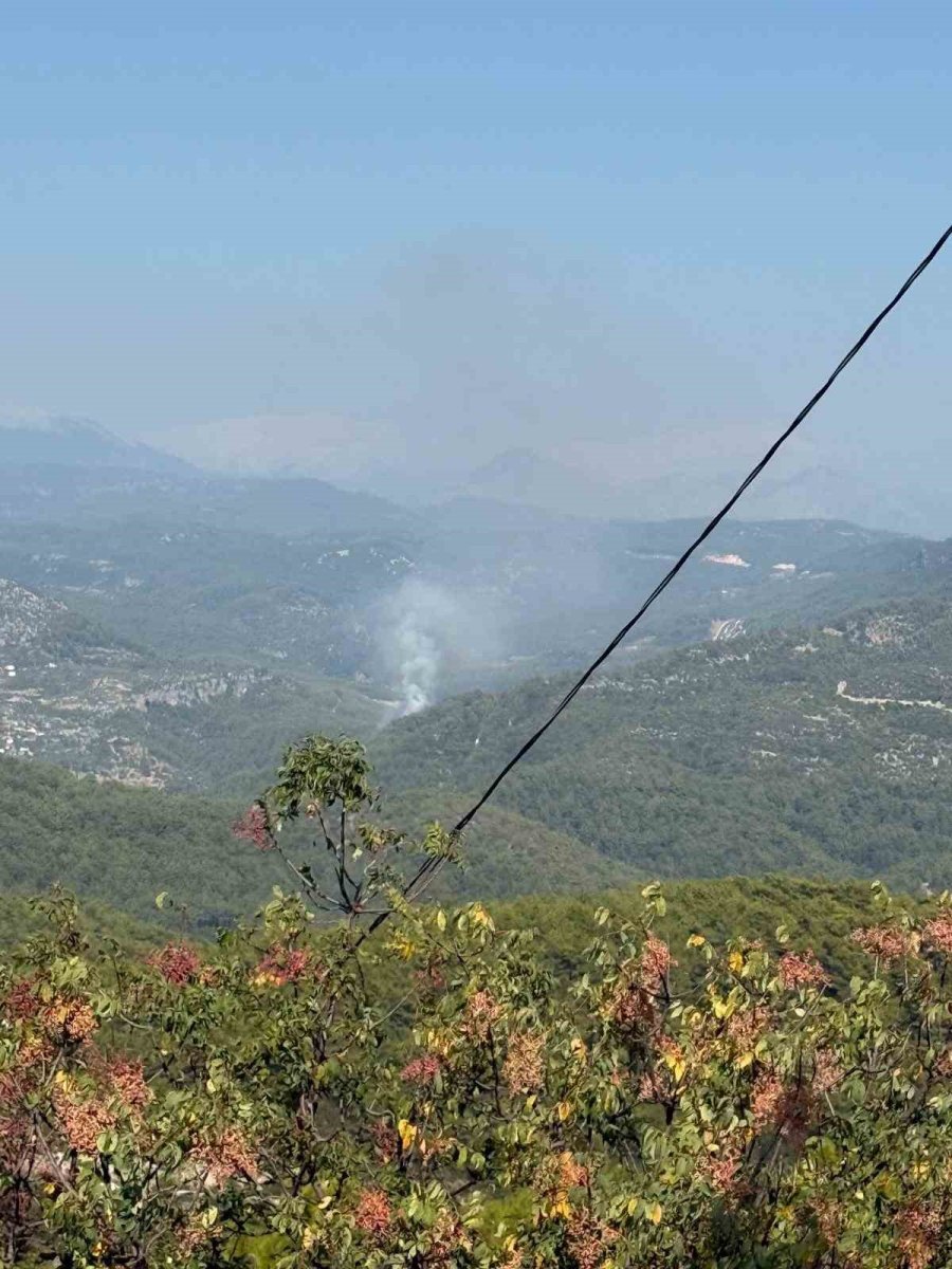 Manavgat’ta Ormanlık Alanda Yangın