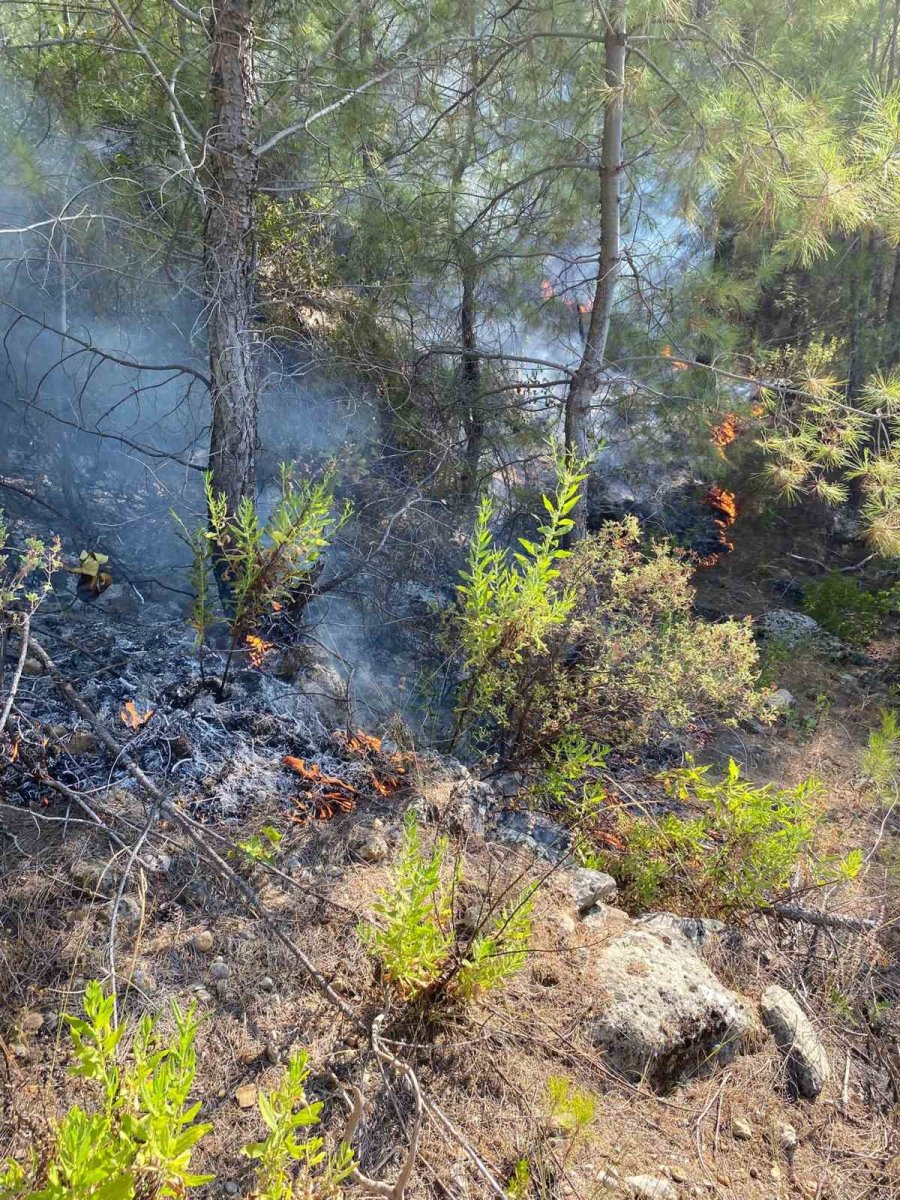 Manavgat’ta Ormanlık Alanda Yangın