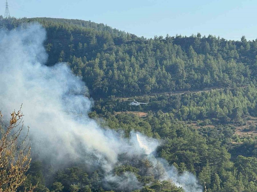 Manavgat’ta Ormanlık Alanda Yangın