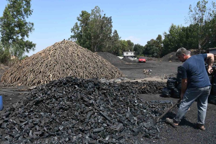 Sıcak Havada Kömür Üretimi Mesaisi