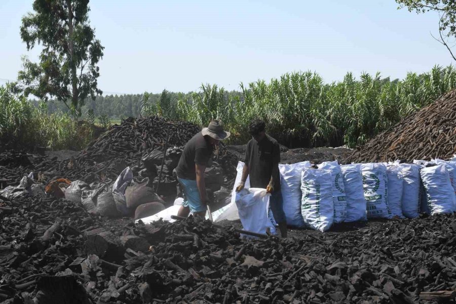 Sıcak Havada Kömür Üretimi Mesaisi