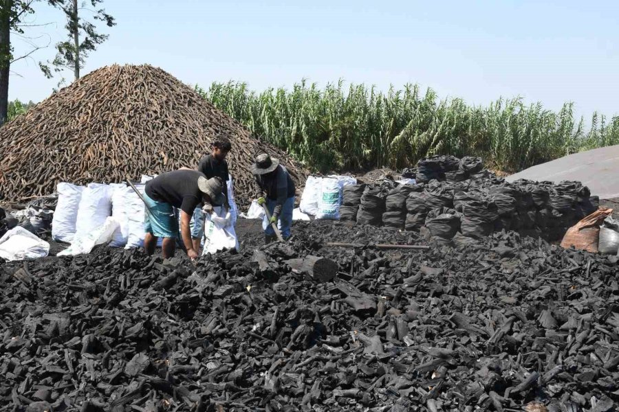 Sıcak Havada Kömür Üretimi Mesaisi