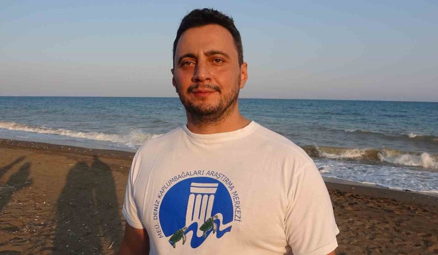 Akdeniz’in Simgesi Yavru Carettaların Çıkışı Tüm Hızıyla Sürüyor