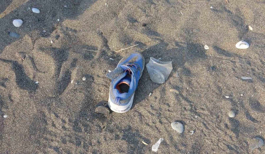 Akdeniz’in Simgesi Yavru Carettaların Çıkışı Tüm Hızıyla Sürüyor