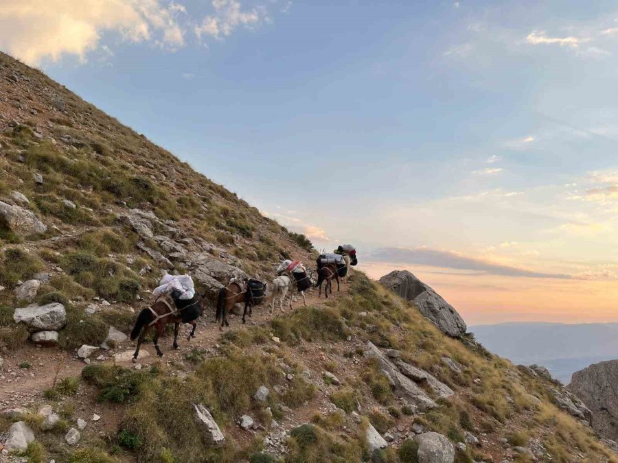 Aladağlar’ın Şerpaları: Katırlarla Zirve Yolculuğu