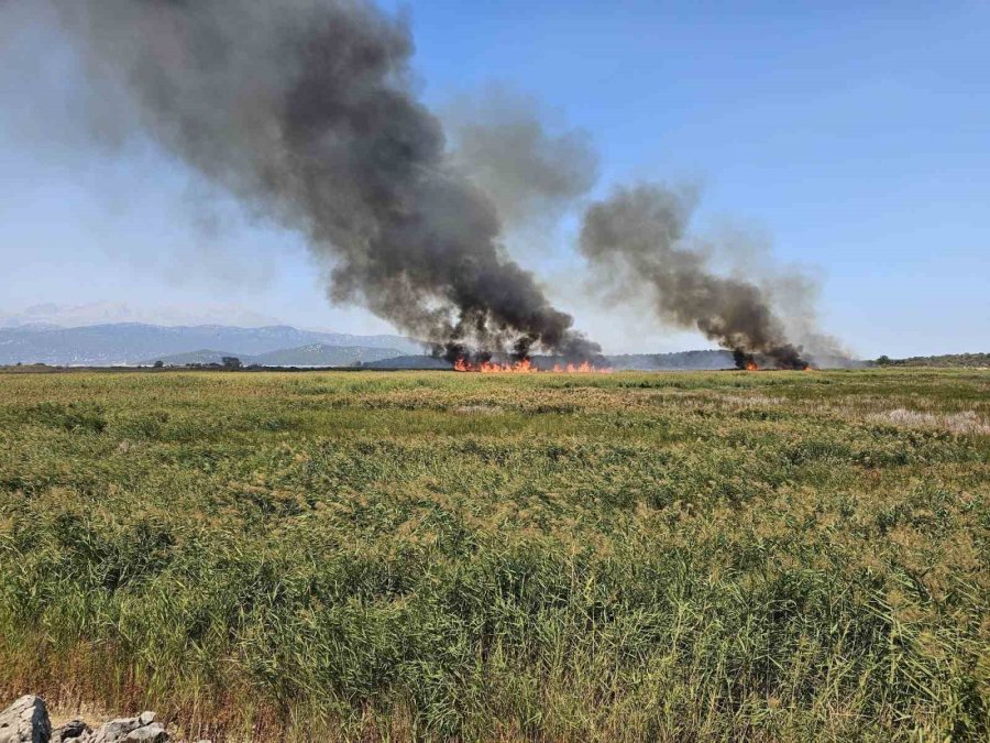 Beyşehir’de Sazlık Alanda Çıkan Yangın Havadan Müdahale İle Söndürüldü