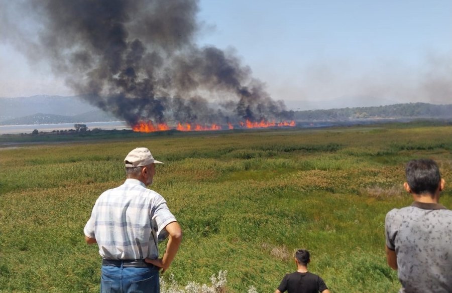 Beyşehir’de Sazlık Alanda Çıkan Yangın Havadan Müdahale İle Söndürüldü