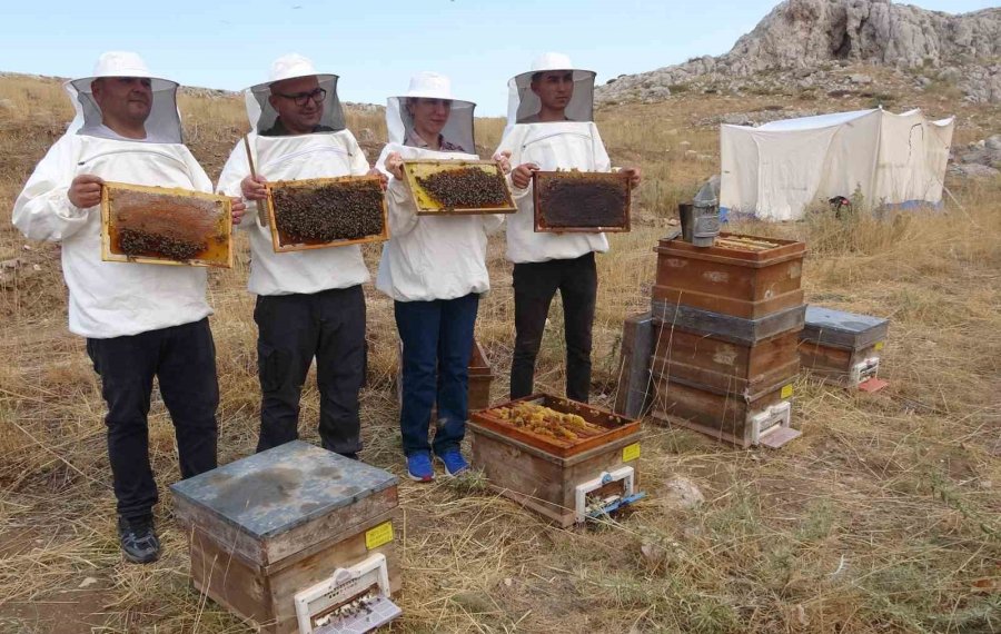 Petekler Balla Doldu: Sıfır Rakımda Başlayan Sezon 2 Bin Rakımda Eğriçayır’da Sona Erdi