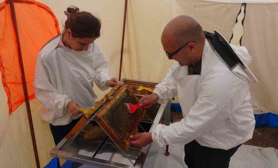 Petekler Balla Doldu: Sıfır Rakımda Başlayan Sezon 2 Bin Rakımda Eğriçayır’da Sona Erdi