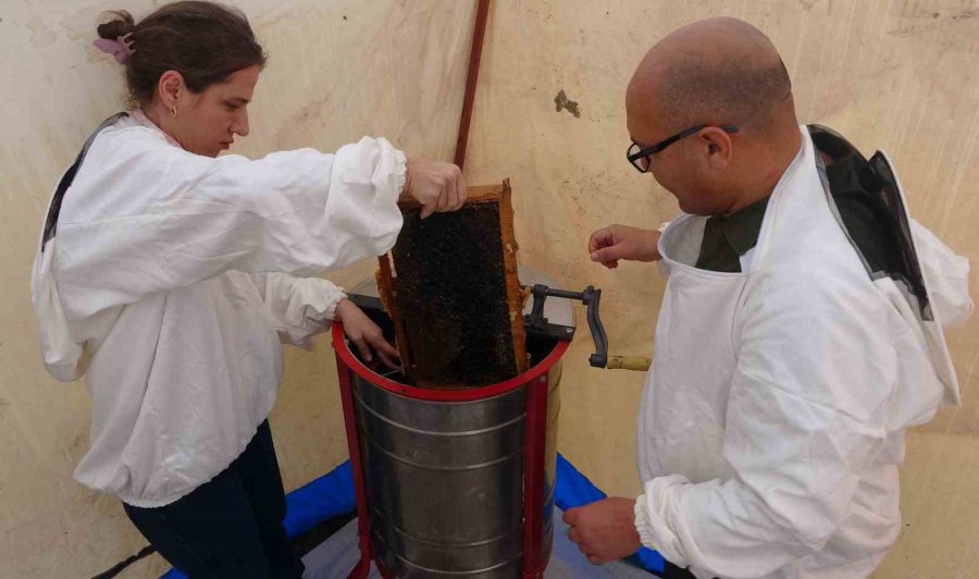 Petekler Balla Doldu: Sıfır Rakımda Başlayan Sezon 2 Bin Rakımda Eğriçayır’da Sona Erdi