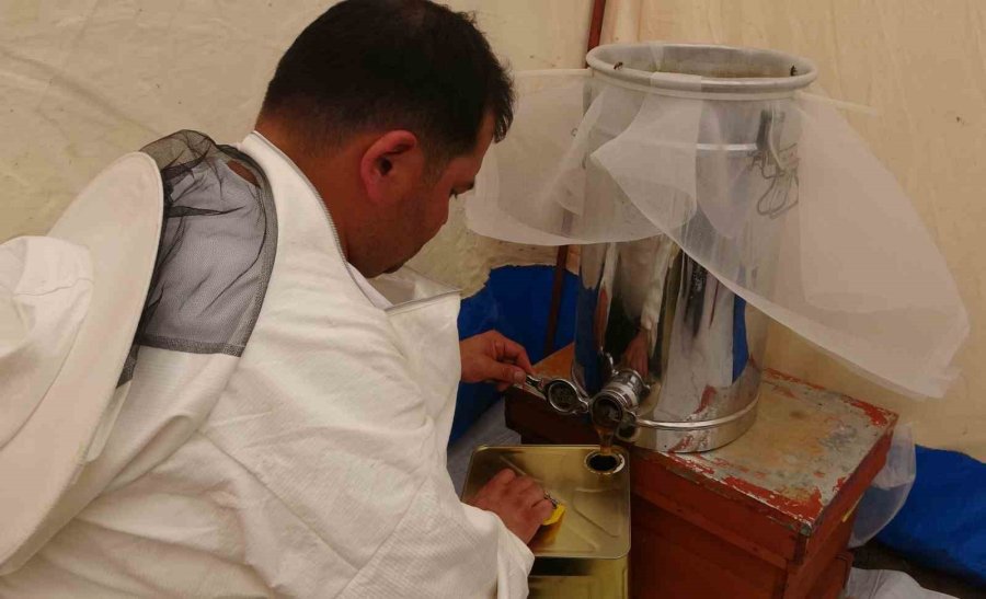 Petekler Balla Doldu: Sıfır Rakımda Başlayan Sezon 2 Bin Rakımda Eğriçayır’da Sona Erdi