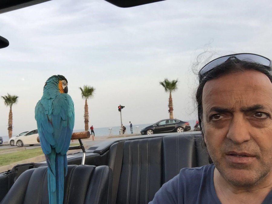 8. Cumhurbaşkanı Turgut Özal’ın Papağanı ‘cabbar’ Yine Çalındı