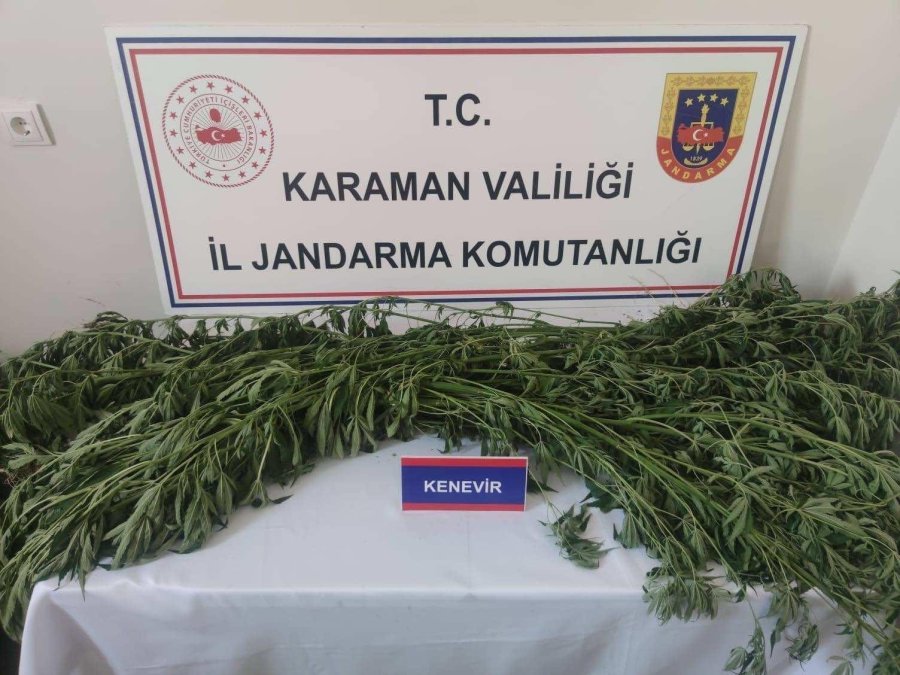 Karaman’da Kenevir Ve 63 Adet Fosil Ele Geçirildi