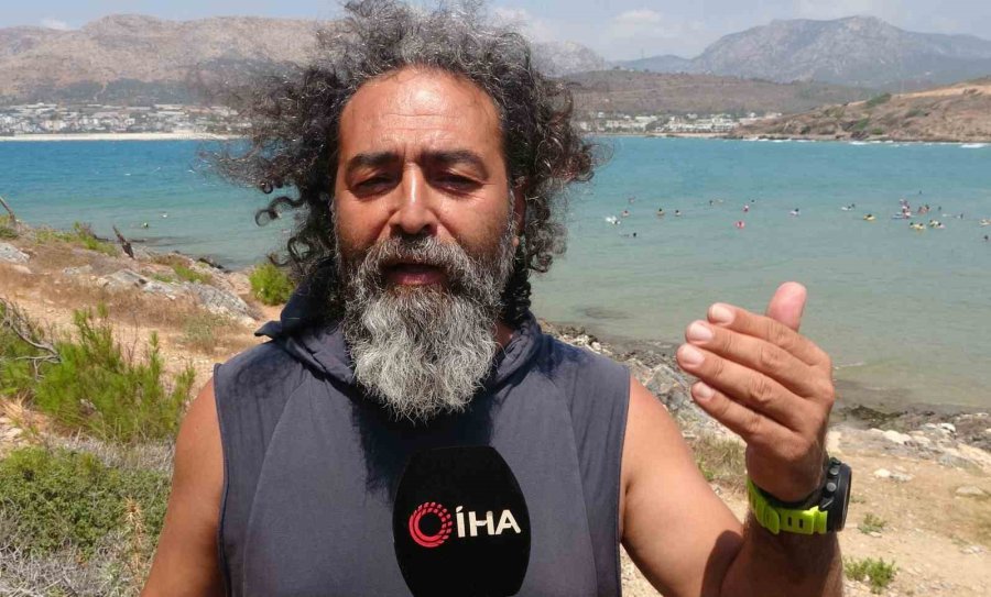 Akdeniz’de Bir Dönem Korku Salmıştı, Zehirli İstilacı Tür Yok Olmaya Başladı