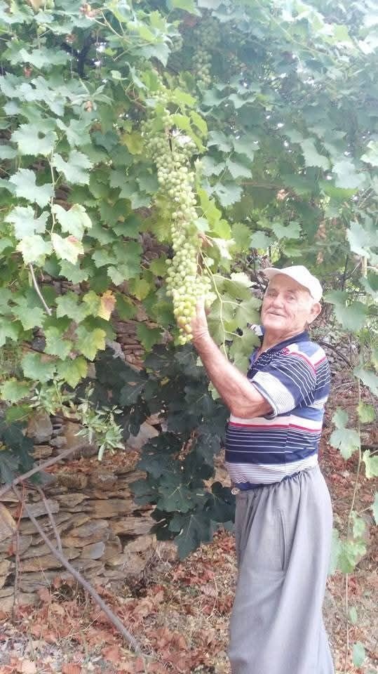 Külle Kaynayan Lezzet, İmece Usulüyle Sofralara Taşınıyor