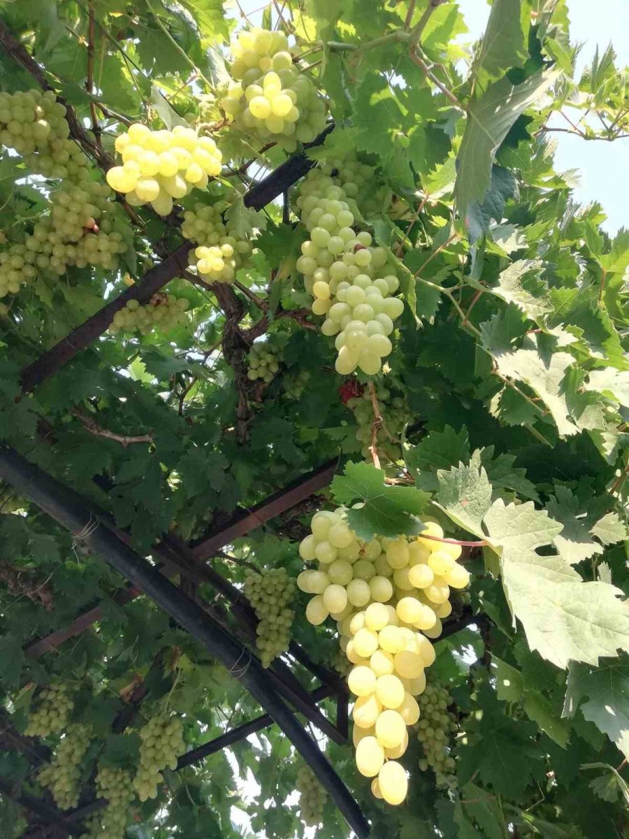 Külle Kaynayan Lezzet, İmece Usulüyle Sofralara Taşınıyor