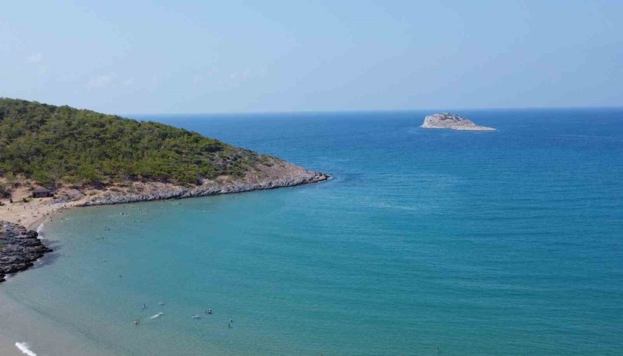 Akdeniz’de Bir Dönem Korku Salmıştı, Zehirli İstilacı Tür Yok Olmaya Başladı