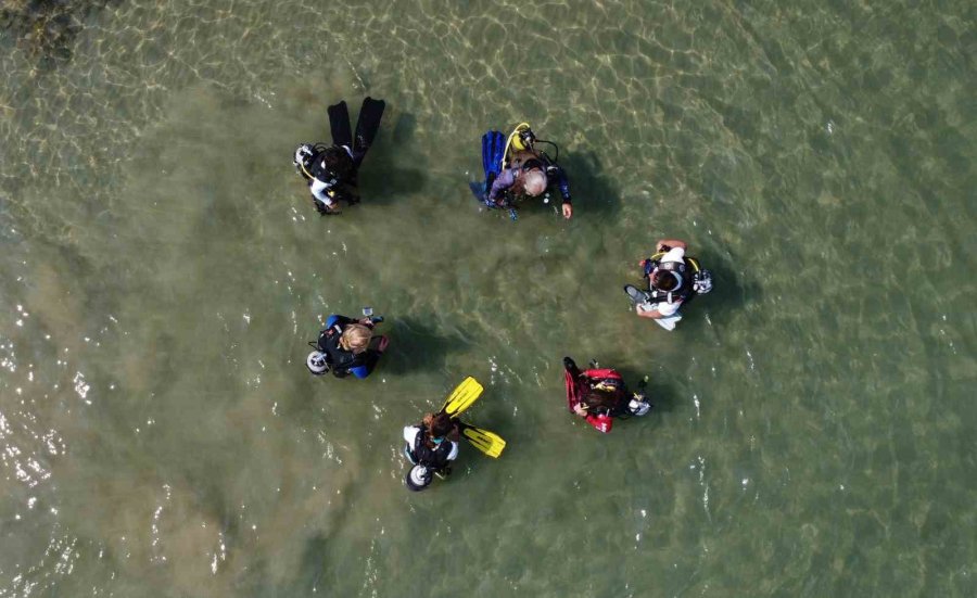 Akdeniz’de Bir Dönem Korku Salmıştı, Zehirli İstilacı Tür Yok Olmaya Başladı