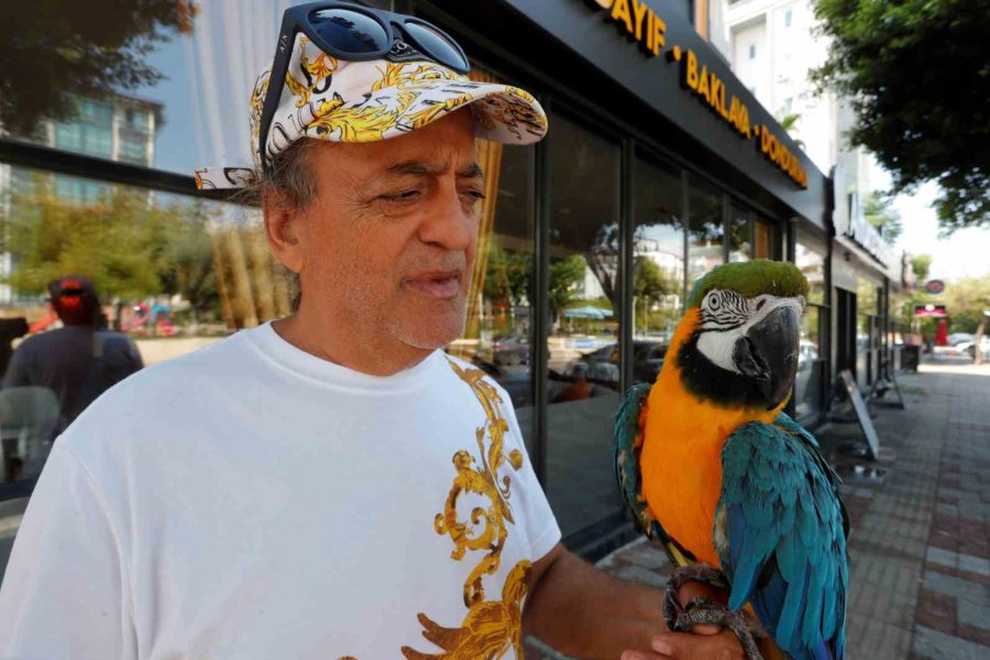 Turgut Özal’ın Kaybolan Papağanı 3 Gün Sonra Bulundu