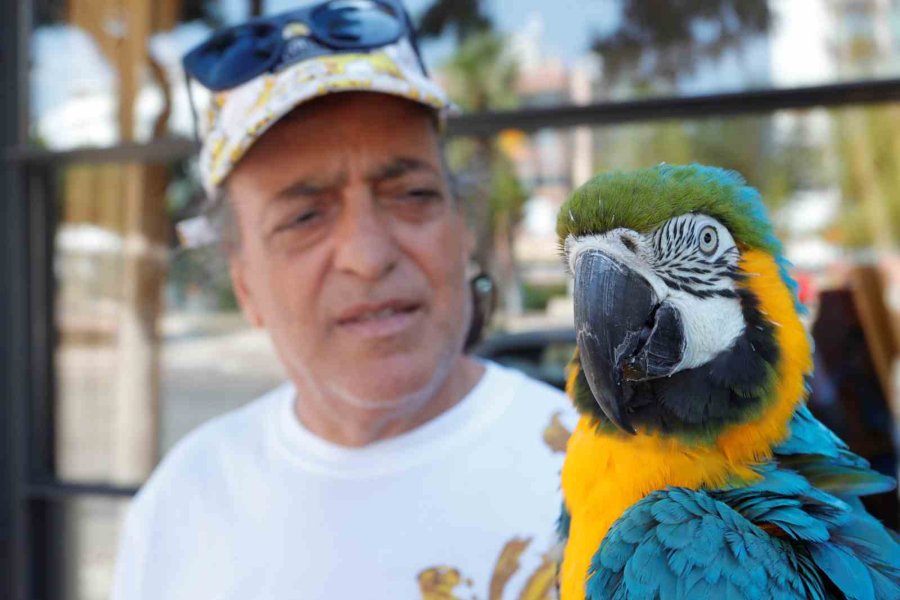 Turgut Özal’ın Kaybolan Papağanı 3 Gün Sonra Bulundu