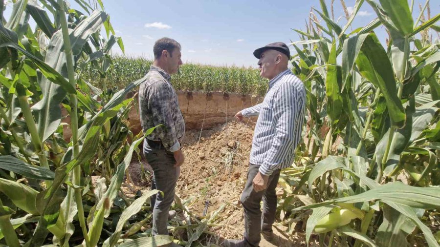 Mısır Tarlasında 15 Metre Genişliğinde Obruk Oluştu