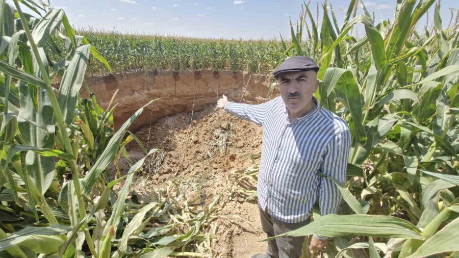 Mısır Tarlasında 15 Metre Genişliğinde Obruk Oluştu