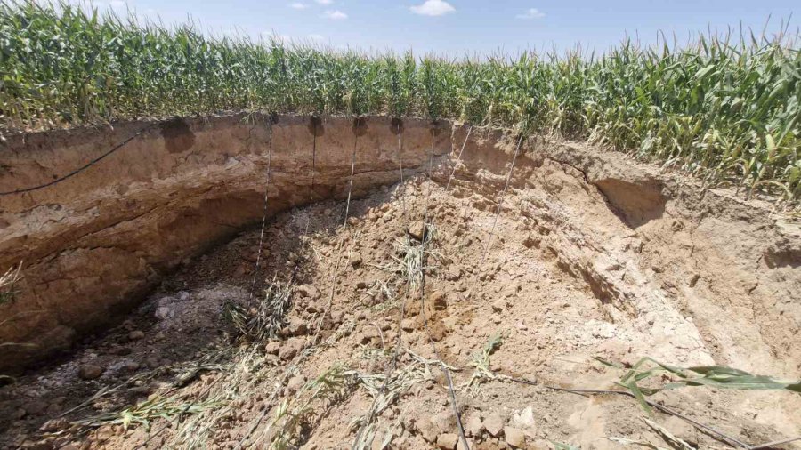 Mısır Tarlasında 15 Metre Genişliğinde Obruk Oluştu