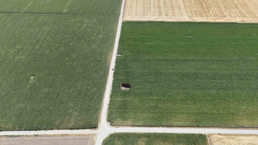 Mısır Tarlasında 15 Metre Genişliğinde Obruk Oluştu