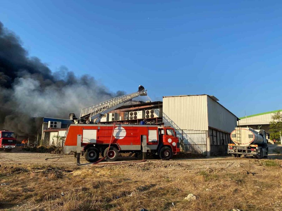 Antalya’da 2 Depo Yangında Küle Döndü