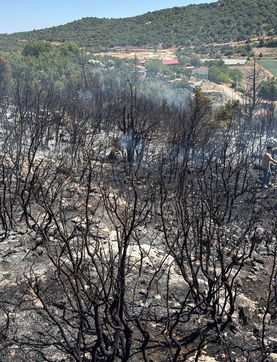 Mersin Silifke’de Yangın Ormanı Sarmadan Söndürüldü