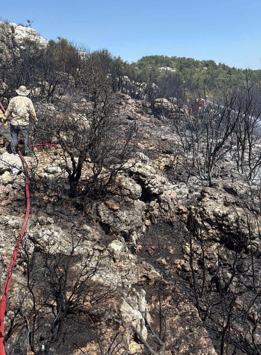Mersin Silifke’de Yangın Ormanı Sarmadan Söndürüldü