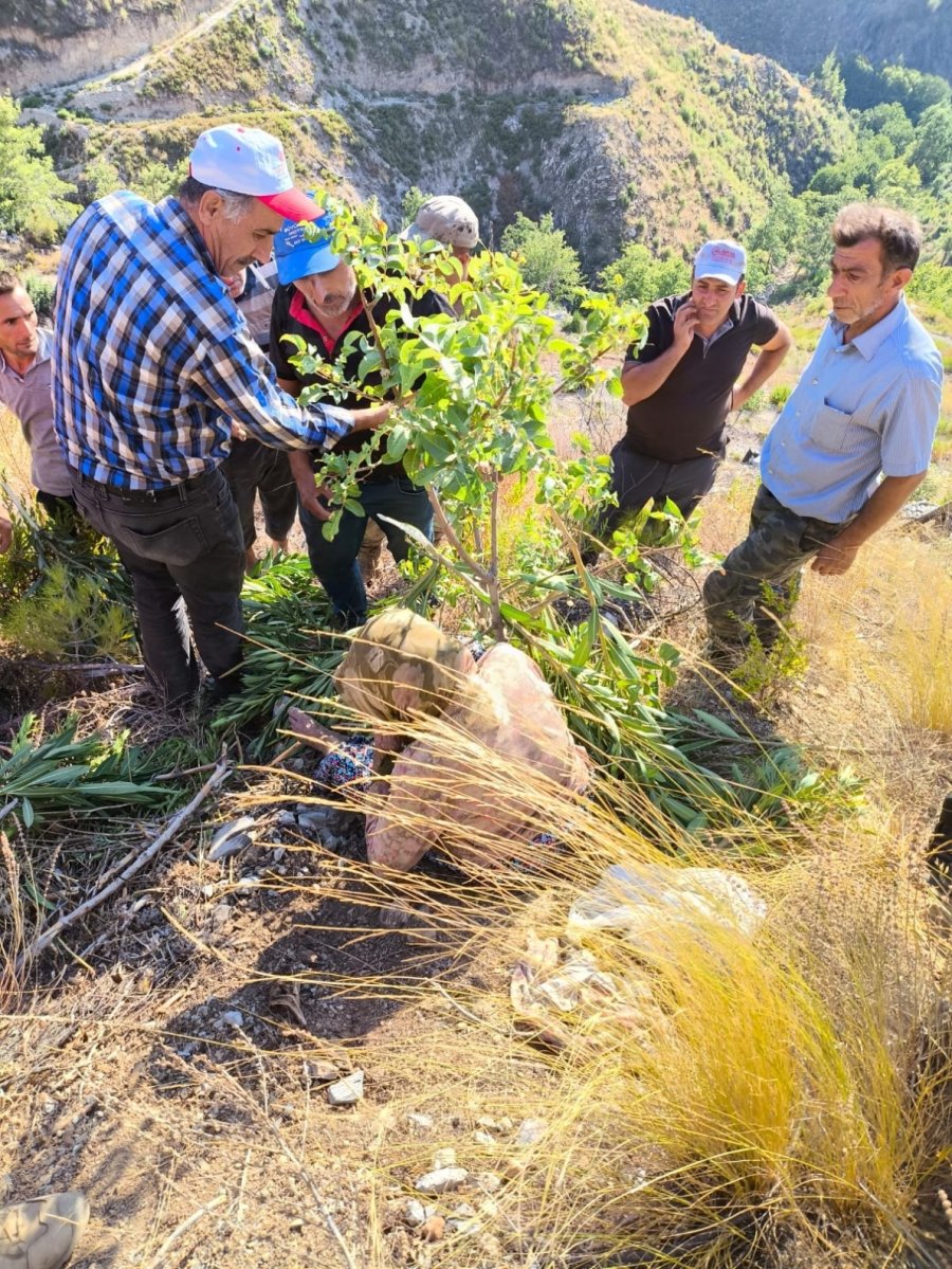 Antalya’da Kayıp Yaşlı Kadın, 2 Gün Sonra Evine 300 Metre Mesafedeki Bahçesinde Bulundu