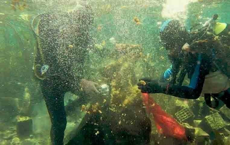 Antalya Körfezi’nde Deniz Kirliliği Ve Tatlı Su Kaynaklarındaki Bozulma