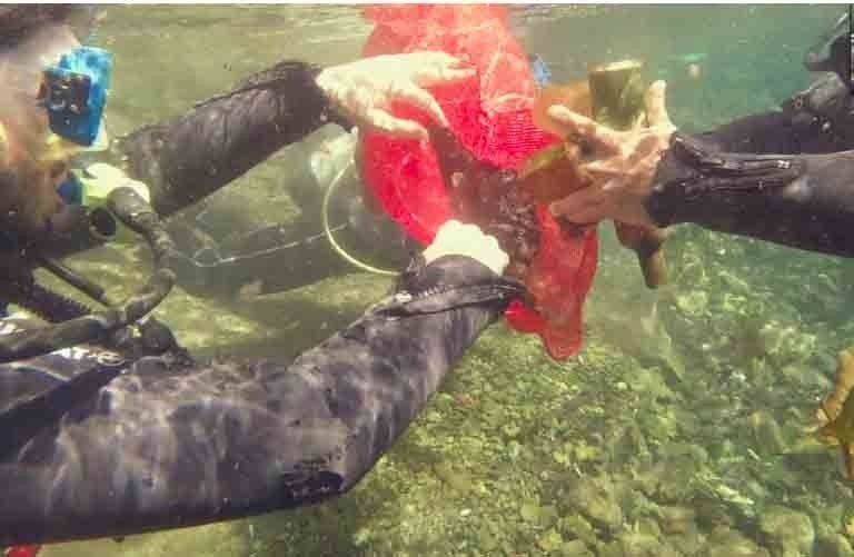 Antalya Körfezi’nde Deniz Kirliliği Ve Tatlı Su Kaynaklarındaki Bozulma