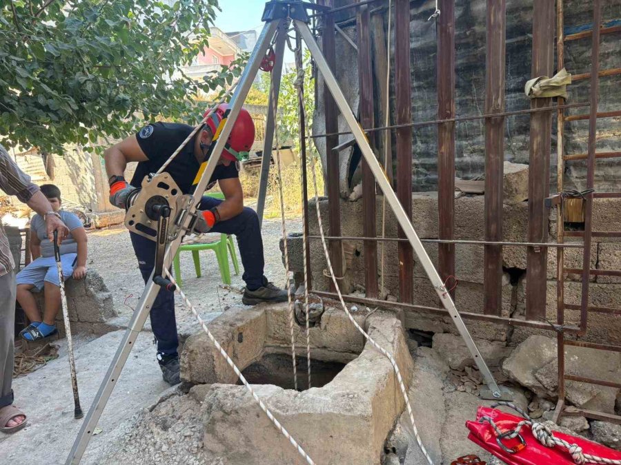 20 Metrelik Kuyuya Düşen Yavru Kedi Kurtarıldı