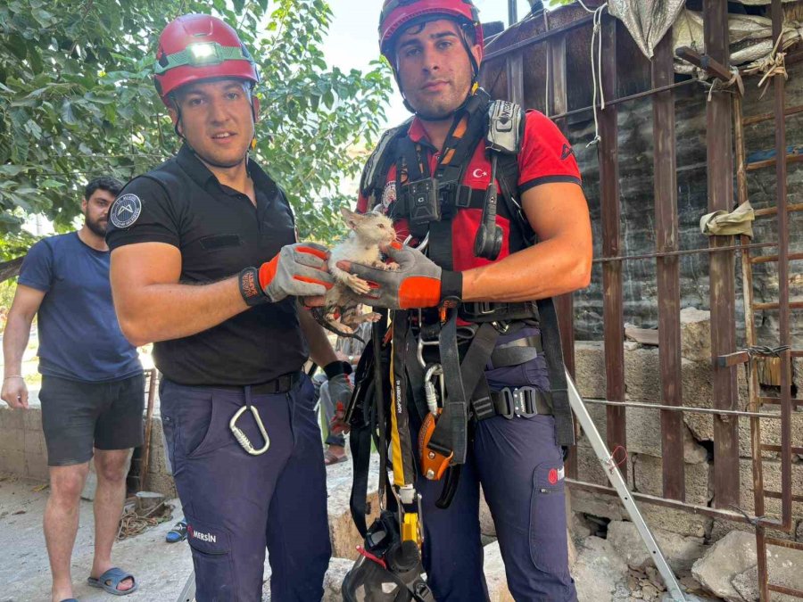 20 Metrelik Kuyuya Düşen Yavru Kedi Kurtarıldı