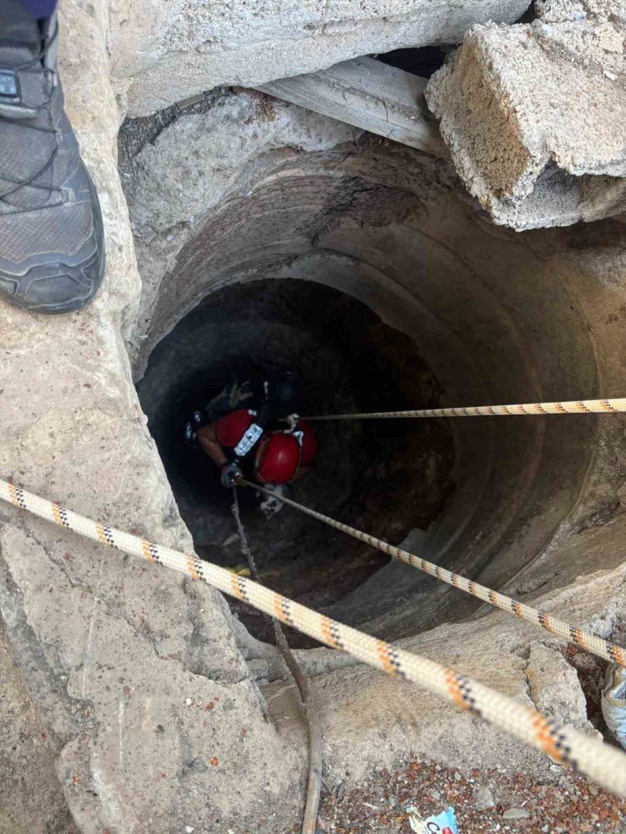 20 Metrelik Kuyuya Düşen Yavru Kedi Kurtarıldı