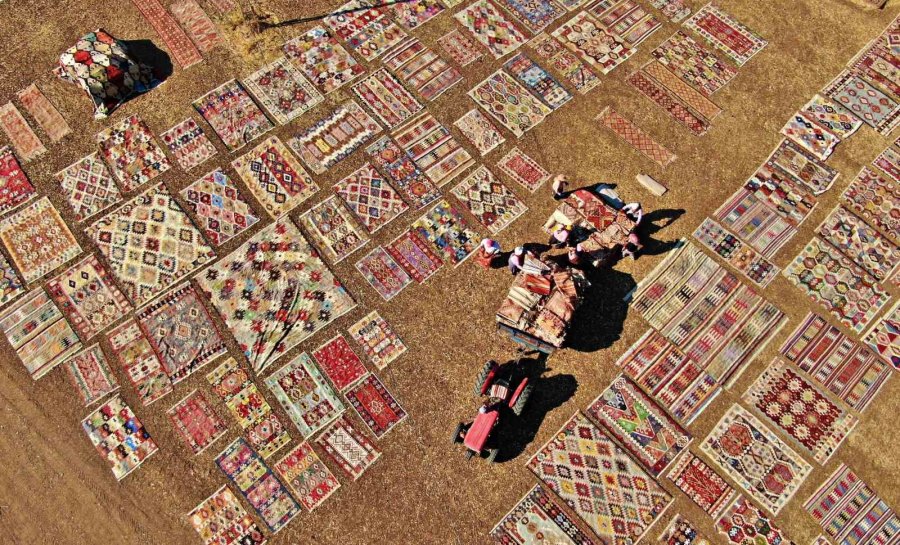 Antalya’da Buğday Tarlalarında Halı Hasatı Başladı