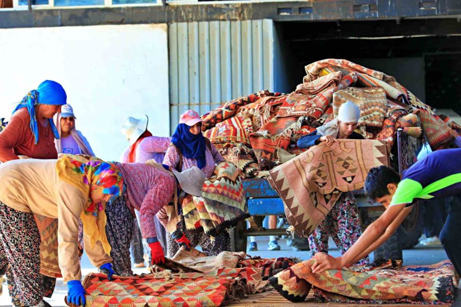 Antalya’da Buğday Tarlalarında Halı Hasatı Başladı