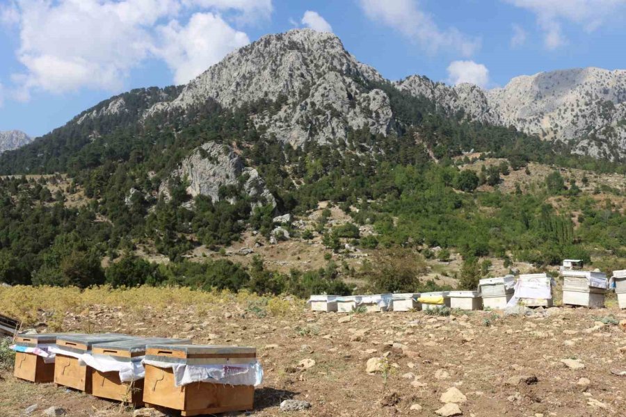 Büyükşehir’den Üreticiyi Eğitim Desteği