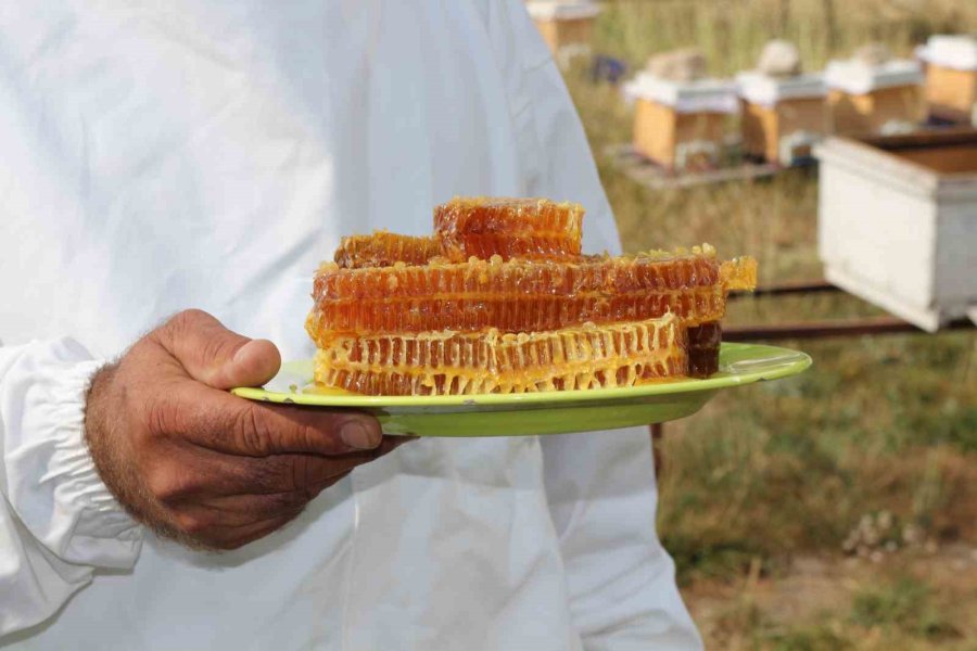 Büyükşehir’den Üreticiyi Eğitim Desteği