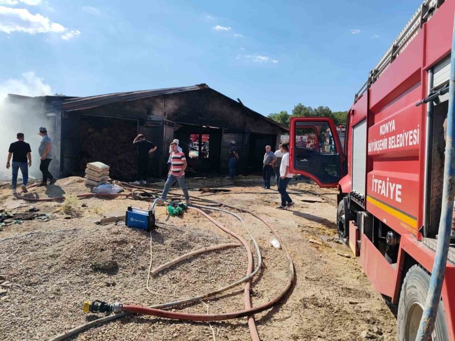 Besi Ahırında Çıkan Yangında 6 Büyükbaş Hayvan Telef Oldu, 10 Ton Saman Yandı