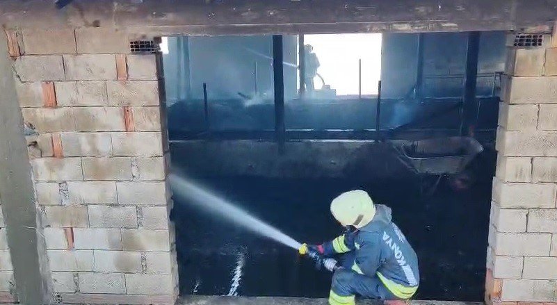 Besi Ahırında Çıkan Yangında 6 Büyükbaş Hayvan Telef Oldu, 10 Ton Saman Yandı