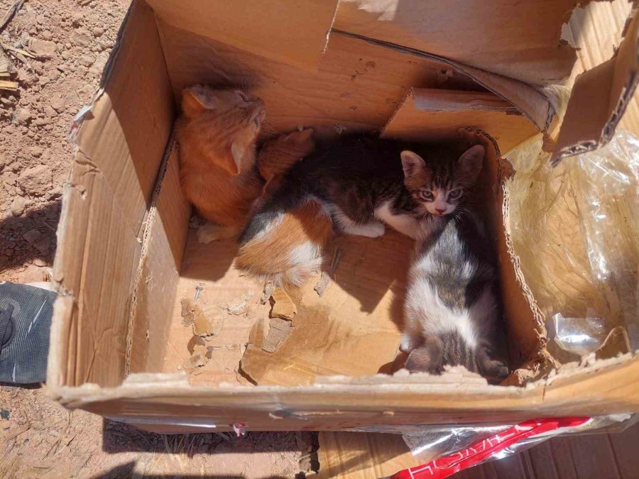 Karaman’da Minibüs Tarlaya Takla Attı: 1 Yaralı