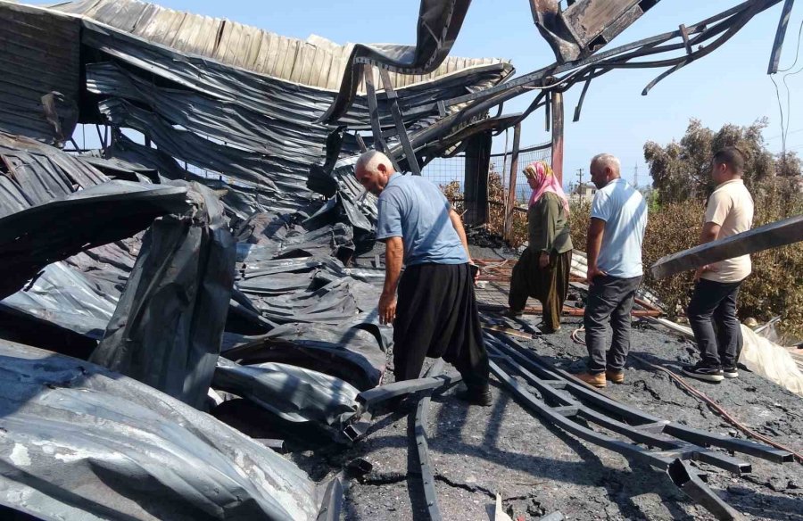 En Mutlu Günlerinde Evleri Yakılmıştı: Enkazdan 6 Gün Sonra Yavru Kedi Çıktı