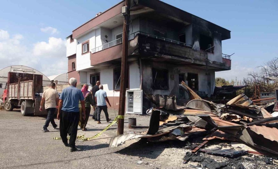 En Mutlu Günlerinde Evleri Yakılmıştı: Enkazdan 6 Gün Sonra Yavru Kedi Çıktı