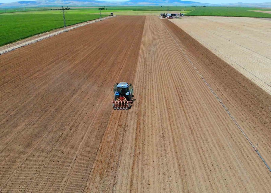 ‘kiralık Tarla’ Uygulaması Başladı, Uzmanlardan Uyarı Geldi