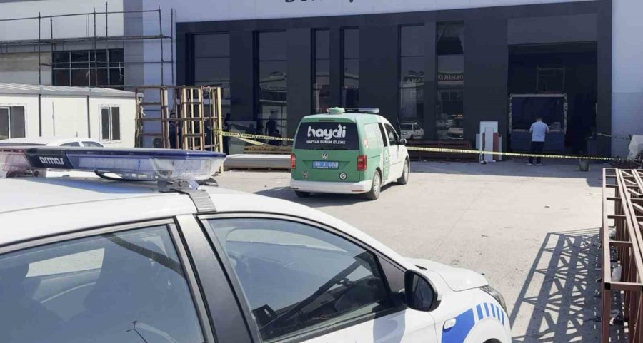 Parasını Alamayan İki Kardeş Kurşun Yağdırdı: 2 Yaralı